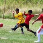 afcdbfc9-b167-43d5-a48b-8b3121f5cd34
